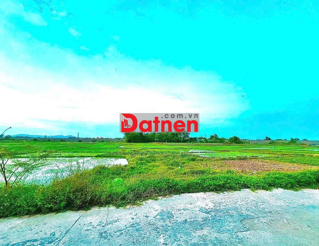 CẦN BÁN LÔ ĐẤT VƯỜN SIÊU ĐẸP TẠI HOÀ TIẾN