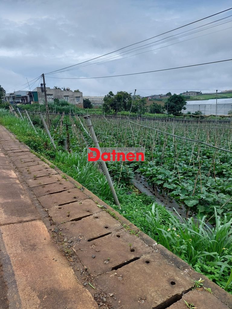 Mặt tiền đường 412, xã Ka Đơn, huyện Đơn Dương, Lâm Đồng