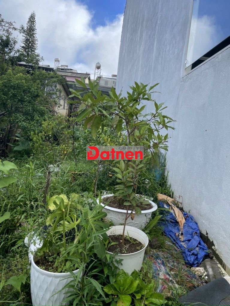 4,8 tỷ đất full thổ 74m2 đường nhựa ô tô 7 chỗ đường Nguyễn Đình Chiểu