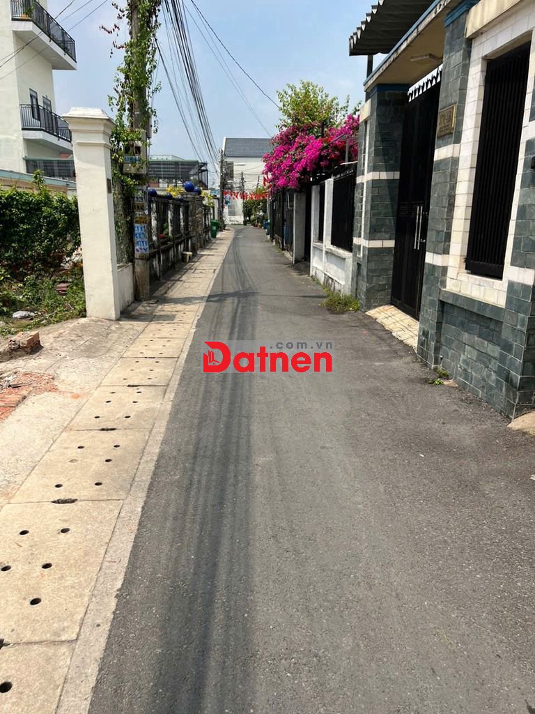 Hàng cực hiếm ngay đại học thủ dầu một