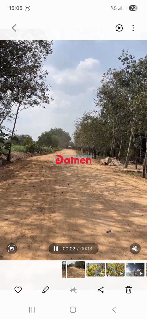 1ha đất tại Long Tân, Dầu Tiếng, Bình Dương