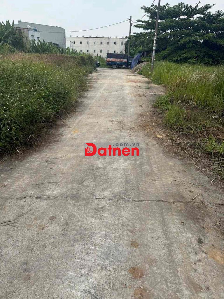 Đất Sổ Riêng 5x13 đường 8m Tx52 Q12