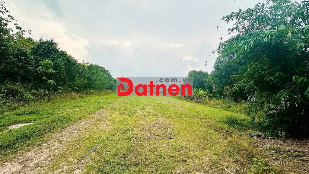 🔔 BÁN GẤP ĐẤT CỦ CHI 5.000M² -GIÁ SỐC CHỈ 7 TỶ-CHỐT NHANH TRONG TUẦN 🔔