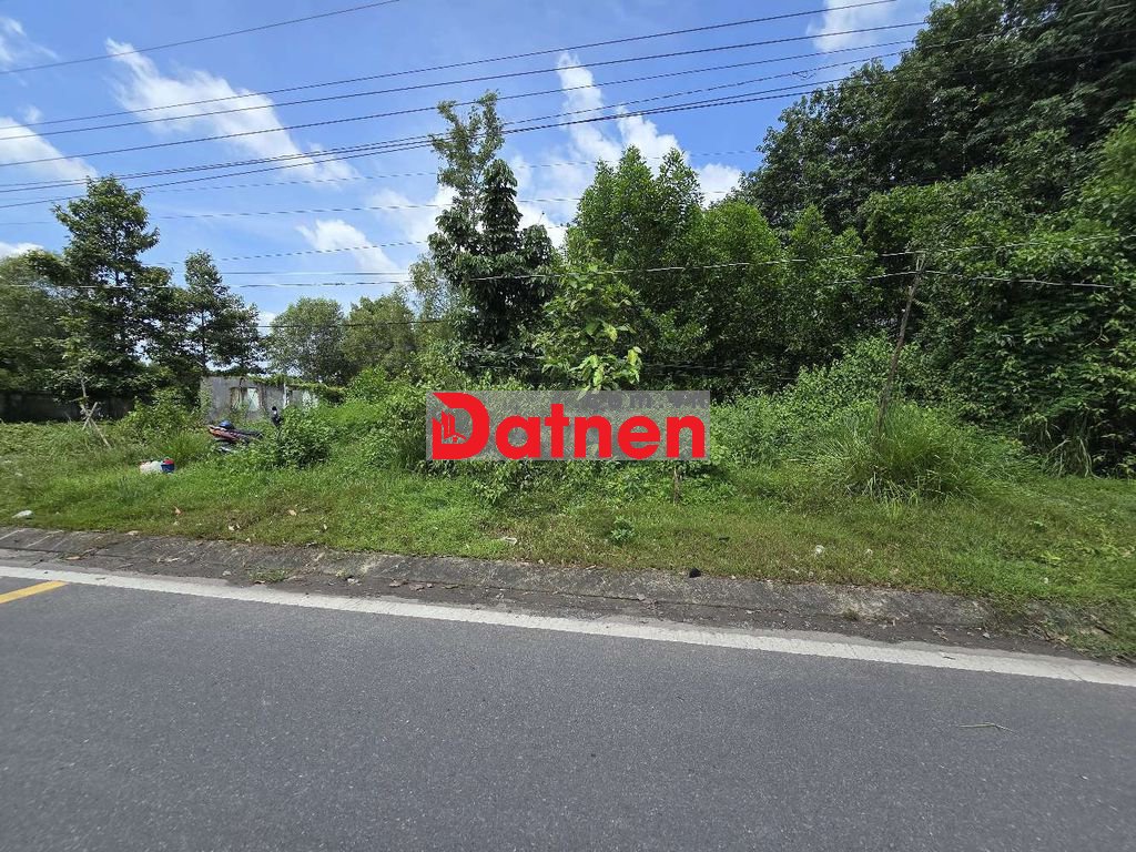 Gia đình cần bán đất mặt tiền đường Nguyễn Hữu Cảnh đt 221,6m2