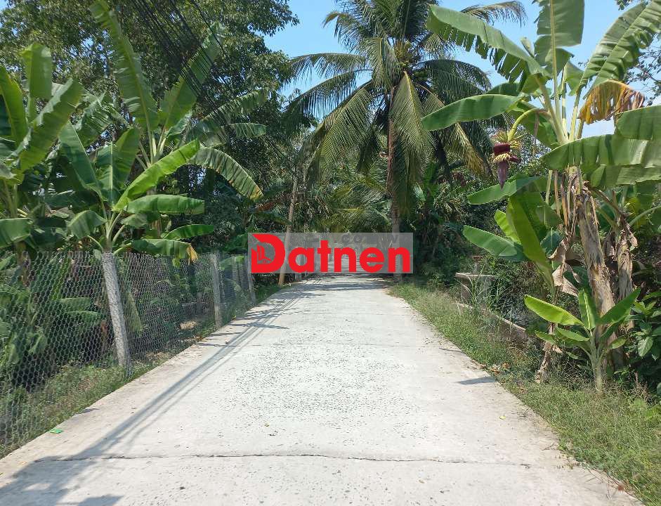 BÁN 2000M² ĐẤT KV6, PHƯỜNG CÁI RĂNG (HƯNG THẠNH)