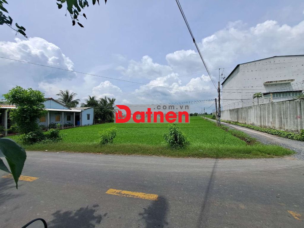 BÁN ĐẤT LÚA LONG AN