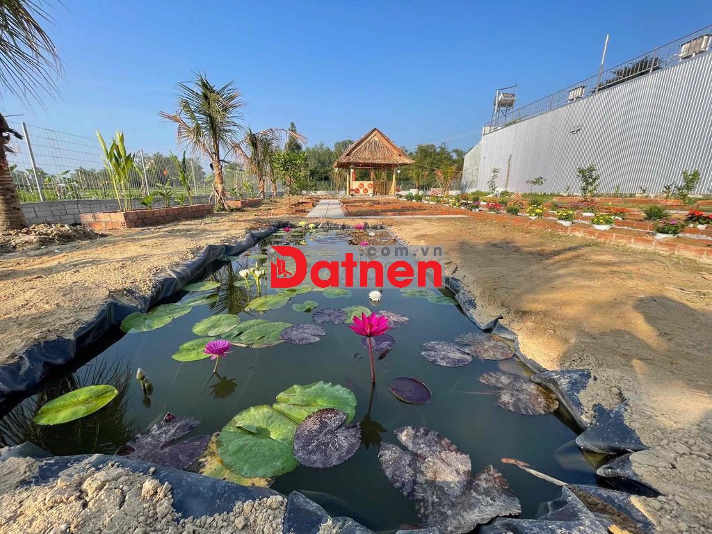 ĐẤT NHÀ VƯỜN ĐẸP – ĐƯỜNG Ô TÔ, PHÁP LÝ RÕ RÀNG