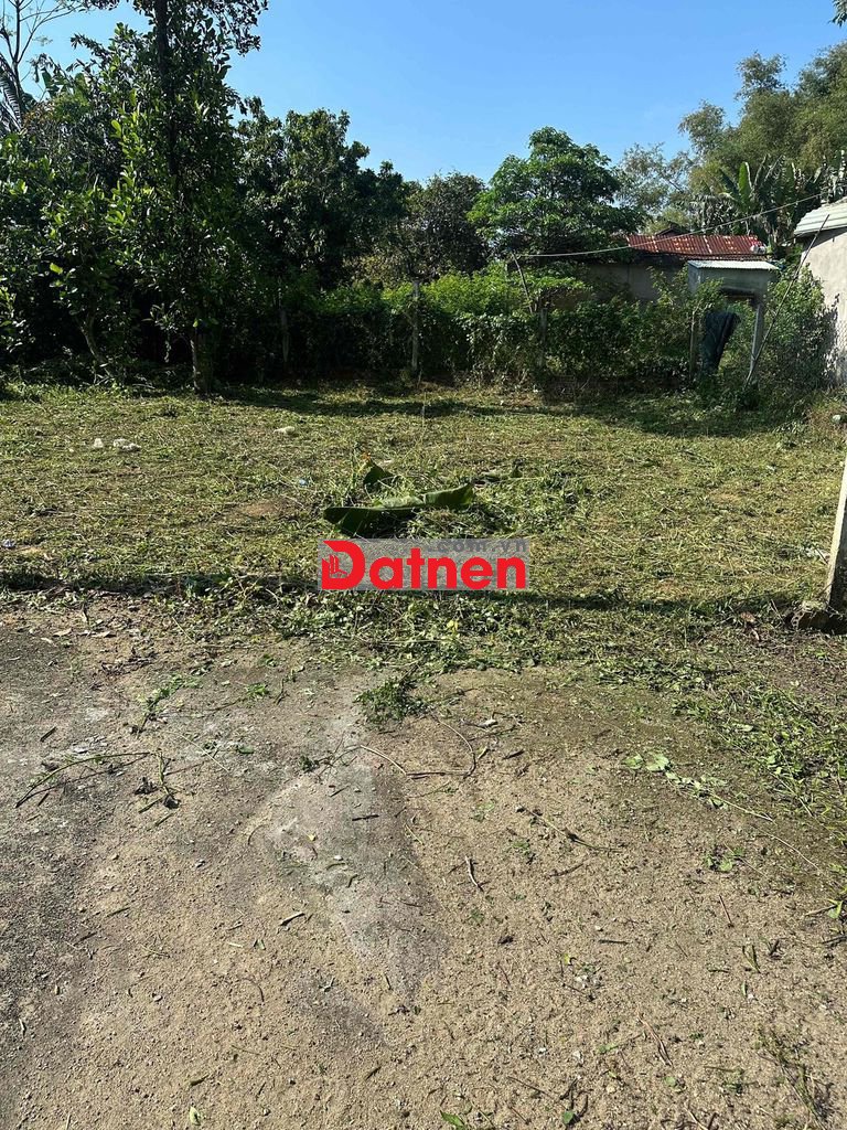 cần bán đất tân hạnh hoà phước (13500)