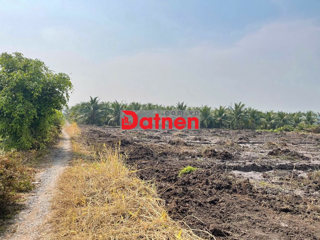 Bán Đất vườn DT816 xã Bình Đức huyện Bến Lức Long An