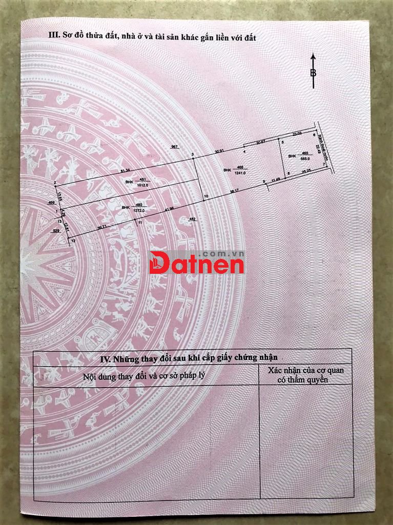 BÁN ĐẤT TẠI P.TÂY NAM ( P. AN TÂY CŨ ), TP. BẾN CÁT, ( BÌNH DƯƠNG)