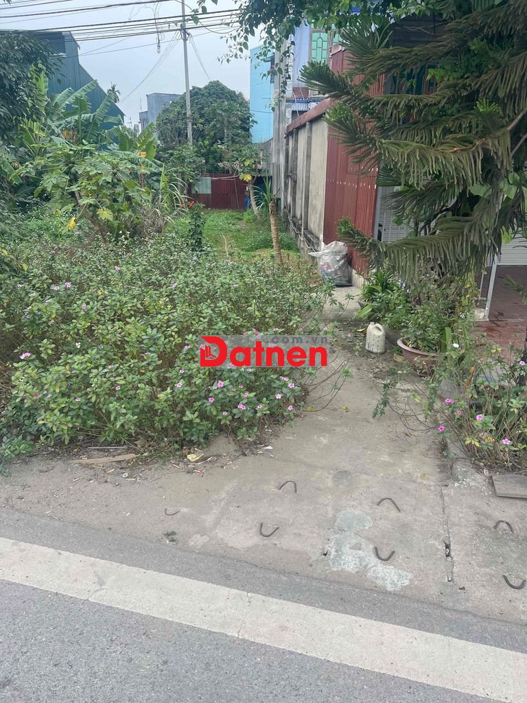 ĐẤT MT KINH DOANH