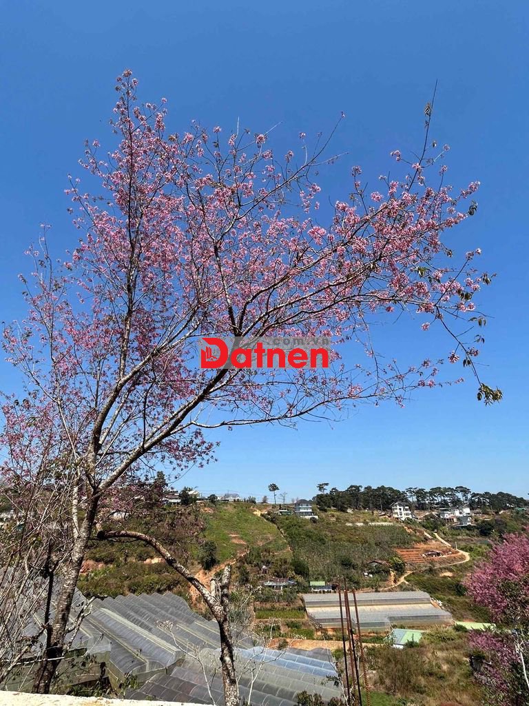 Bán đất thổ cư view đẹp vĩnh viễn không bị che .Ngay trung xã Xuân Tho