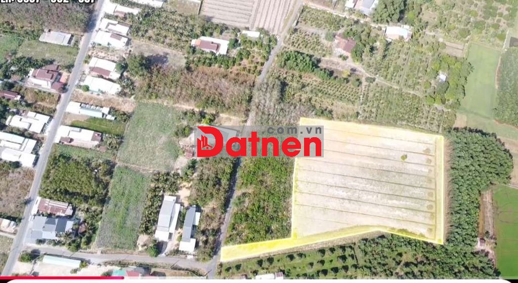 Đất 100x120m đường cẩm an