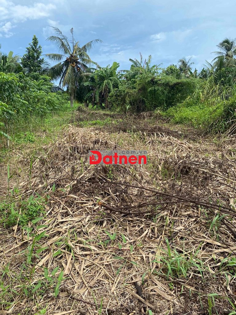 Đất nên thổ 222m Long Phước