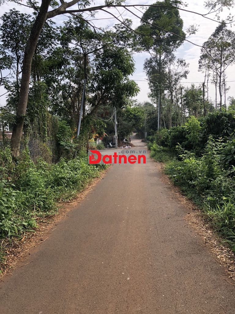 Bán 3000m2 đất ở Thị trấn Kim Long