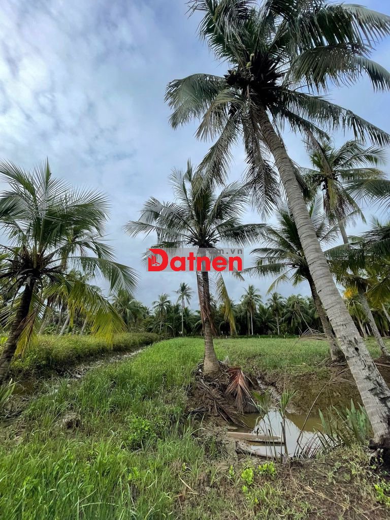 4.400m² đất vườn có thổ cư – giáp rạch thoáng mát