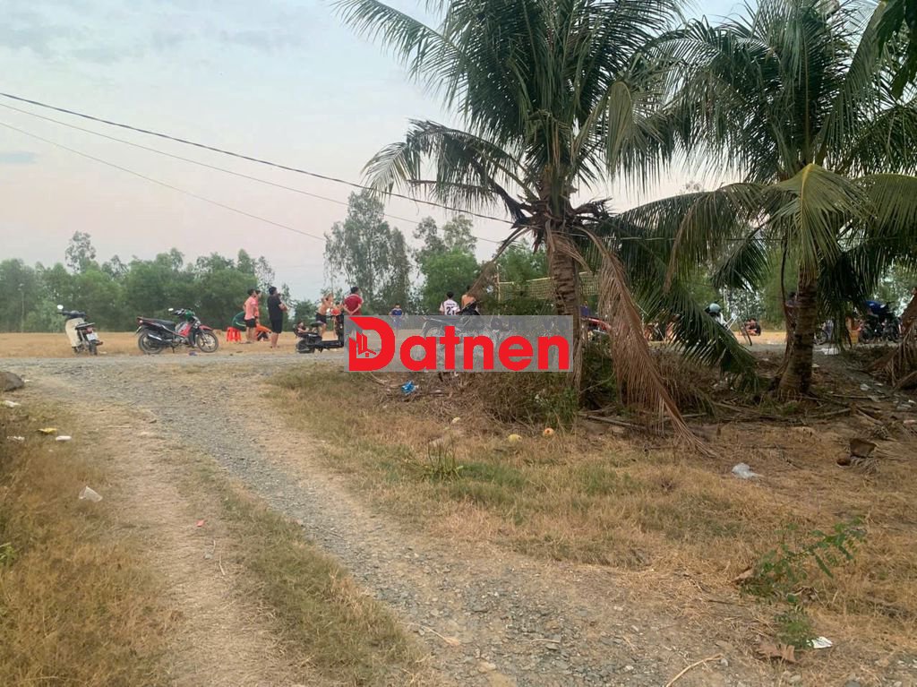 Bán nền nhà gần khu trang trại bò sữa Vĩnh Gia An Giang