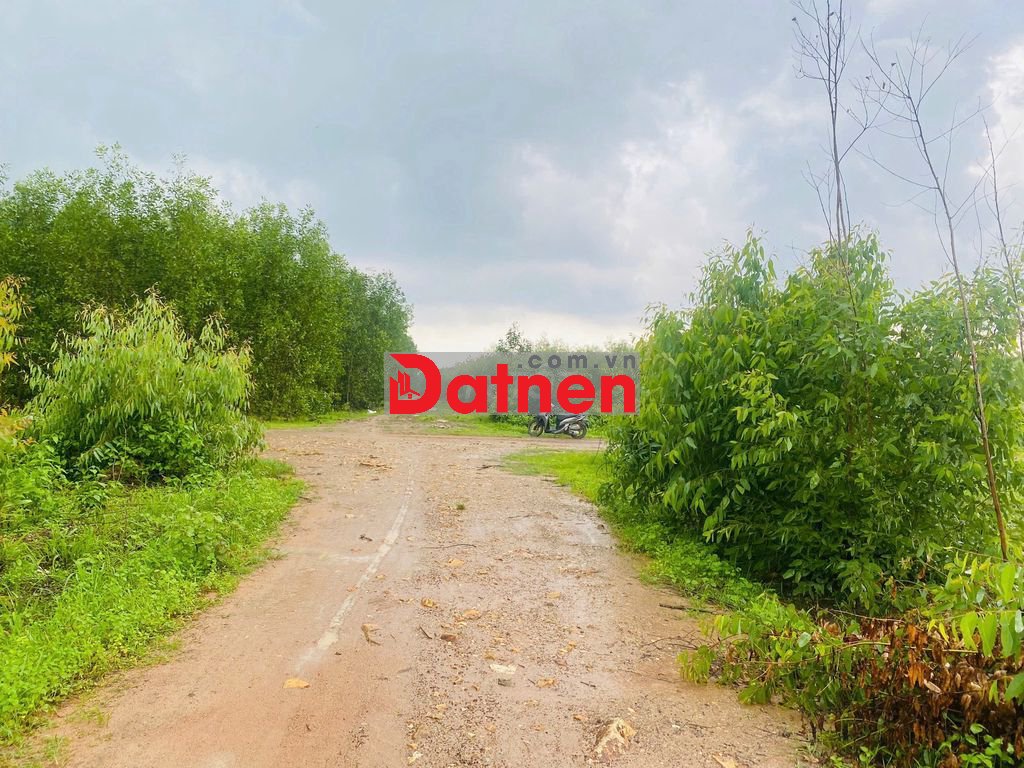 Bán 2.5 sào đất lô góc 2 mặt đường số 8 - Tân Hà - Hàm Tân giá ngộp