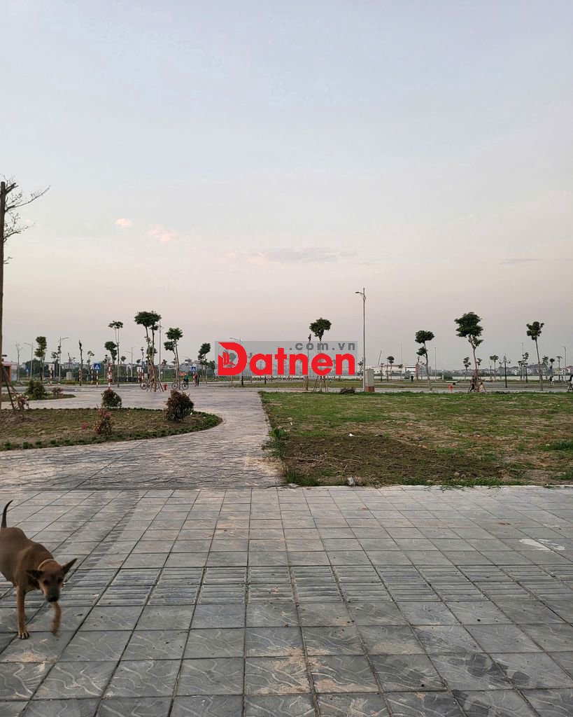 BÁN ĐẤT ĐẤU GIÁ LỄ PHÁP – TIÊN DƯƠNG – ĐÔNG ANH - HÀ NỘI (PHÚC THỊNH)