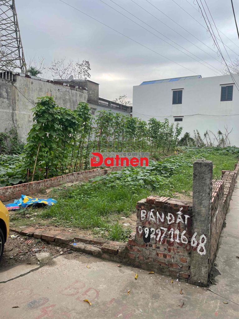 bán đất đường hùng vương hồng bàng hải phòng