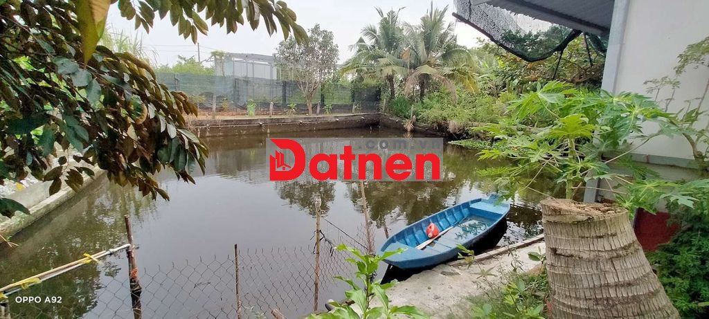 Nhà vườn Hưng Long BC,T phcm, có sẵn nhà, vườn cây ăn trái, nghĩ dưỡng