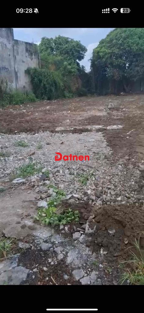 cần tiền hạ giá siêu hot