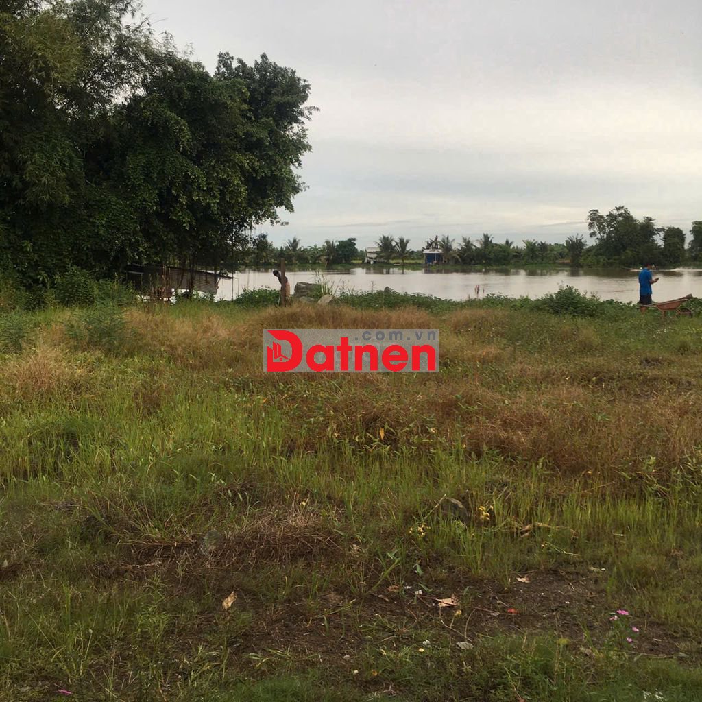 Đất Mặt Tiền Sông Vàm Cỏ, 20m mặt sông, 600m2 giá 1ty4 hàng hiếm