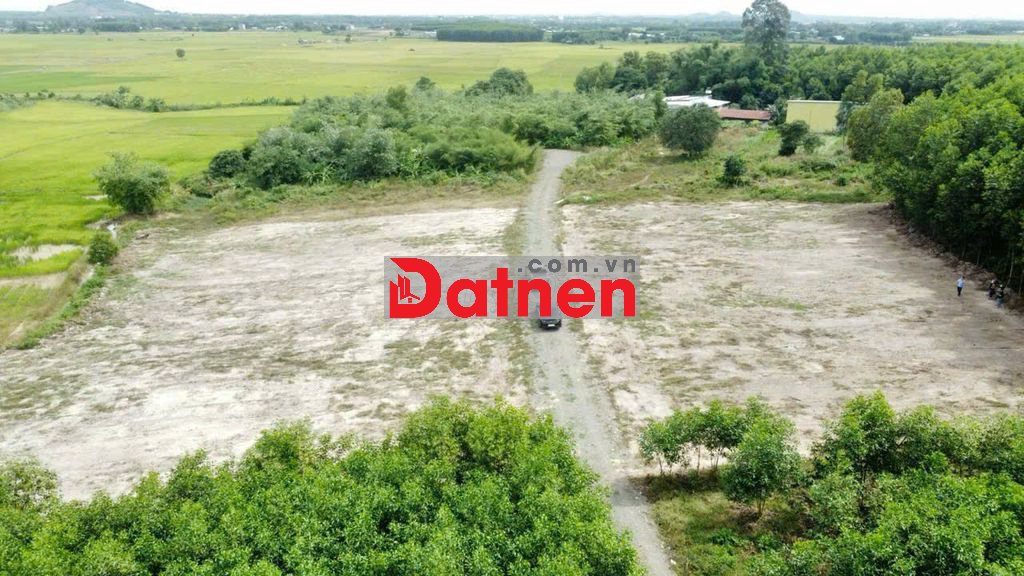 CHÍNH CHỦ CẦN BÁN 6.000m² ĐẤT GẦN Chợ Láng Dài – CÓ 400m² THỔ CƯ