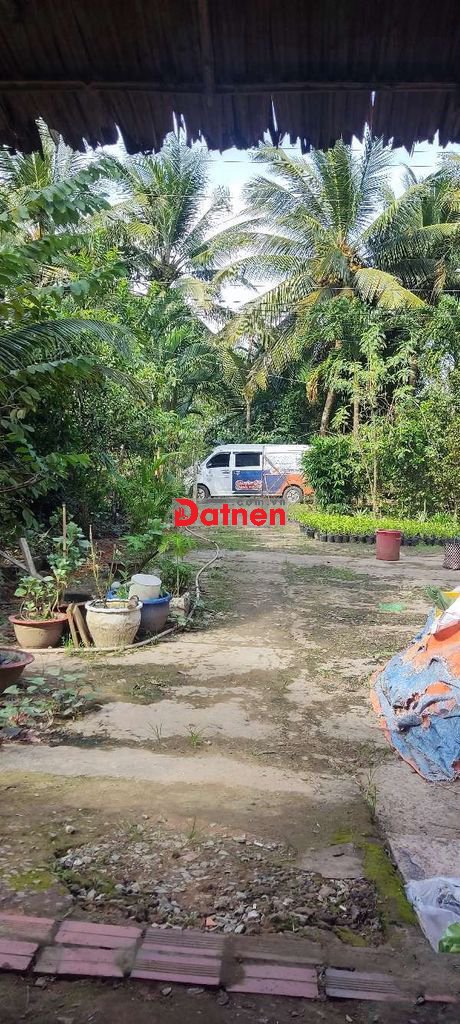 Bán đất trồng cây lâu năm và nhà ở khu vực Bến tre