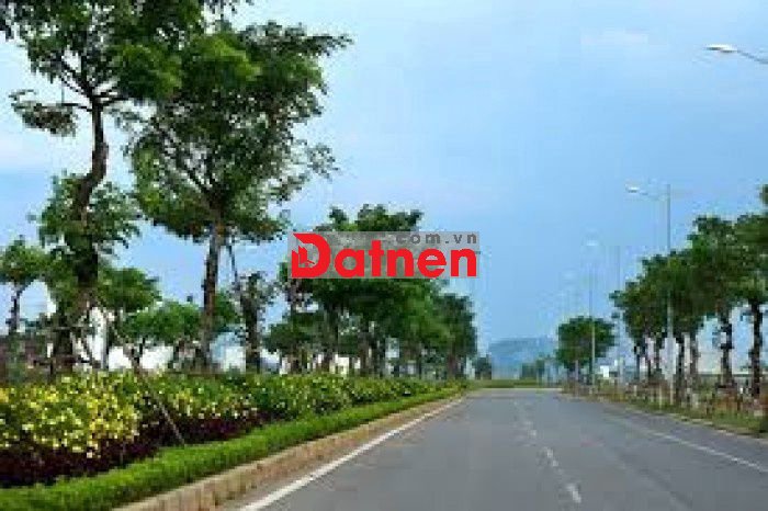 CHÍNH CHỦ BÁN NHANH 650M² MẶT TIỀN MAI ĐĂNG CHƠN – GẦN LÀNG ĐẠI HỌC