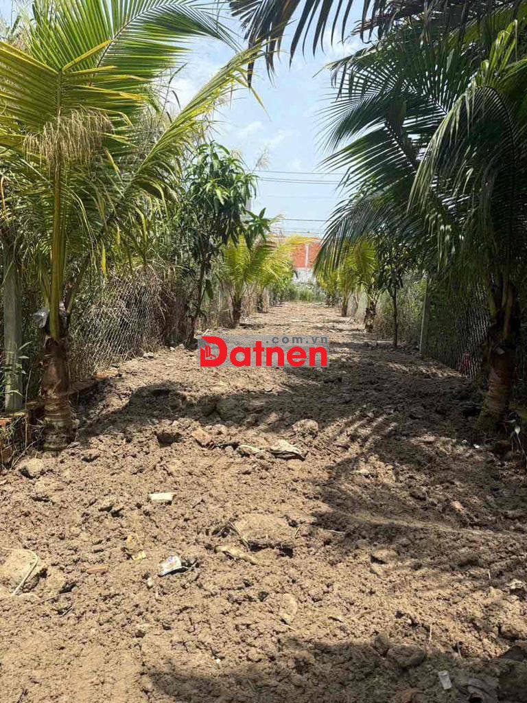 BÁN ĐẤT VỪA KINH DOANH VỪA LÀM NHÀ VƯỜN ĐƯỜNG 2 LÀN Ô TÔ