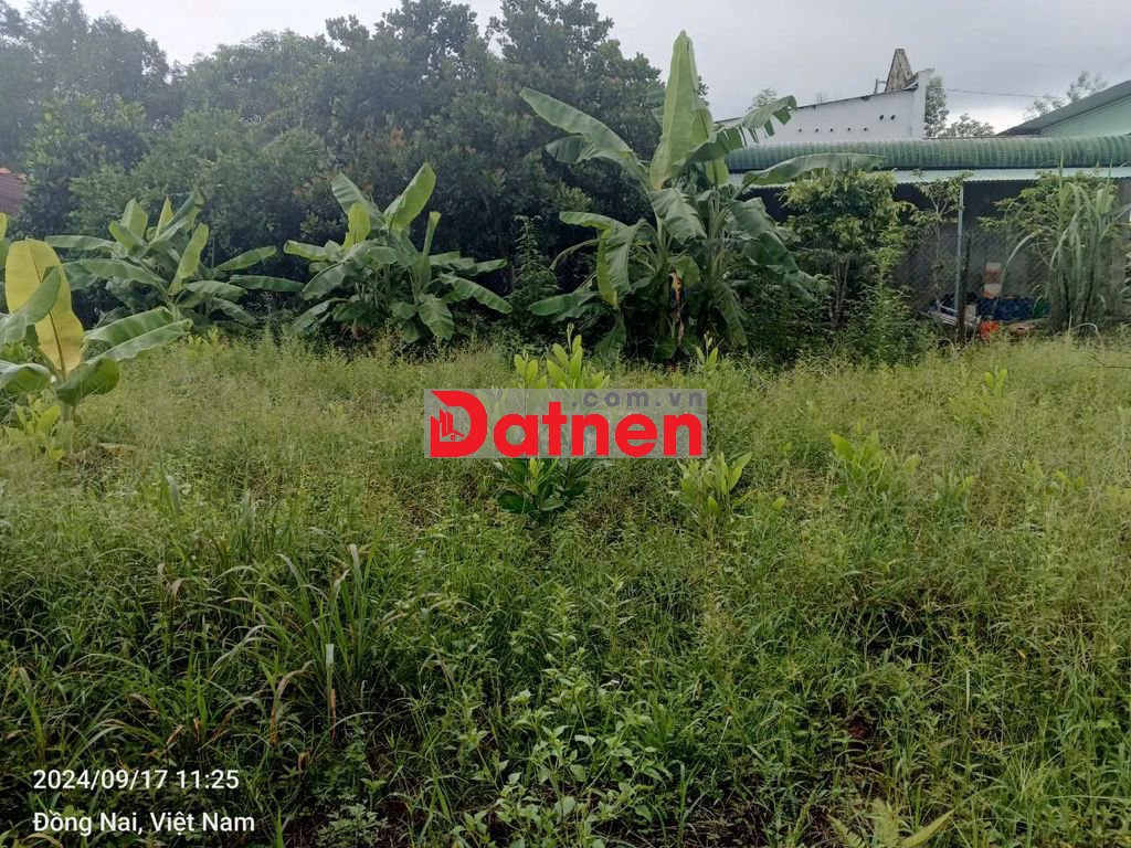 Đất 2 mặt tiền Tỉnh Lộ 761 15mx91m - Phú Lý