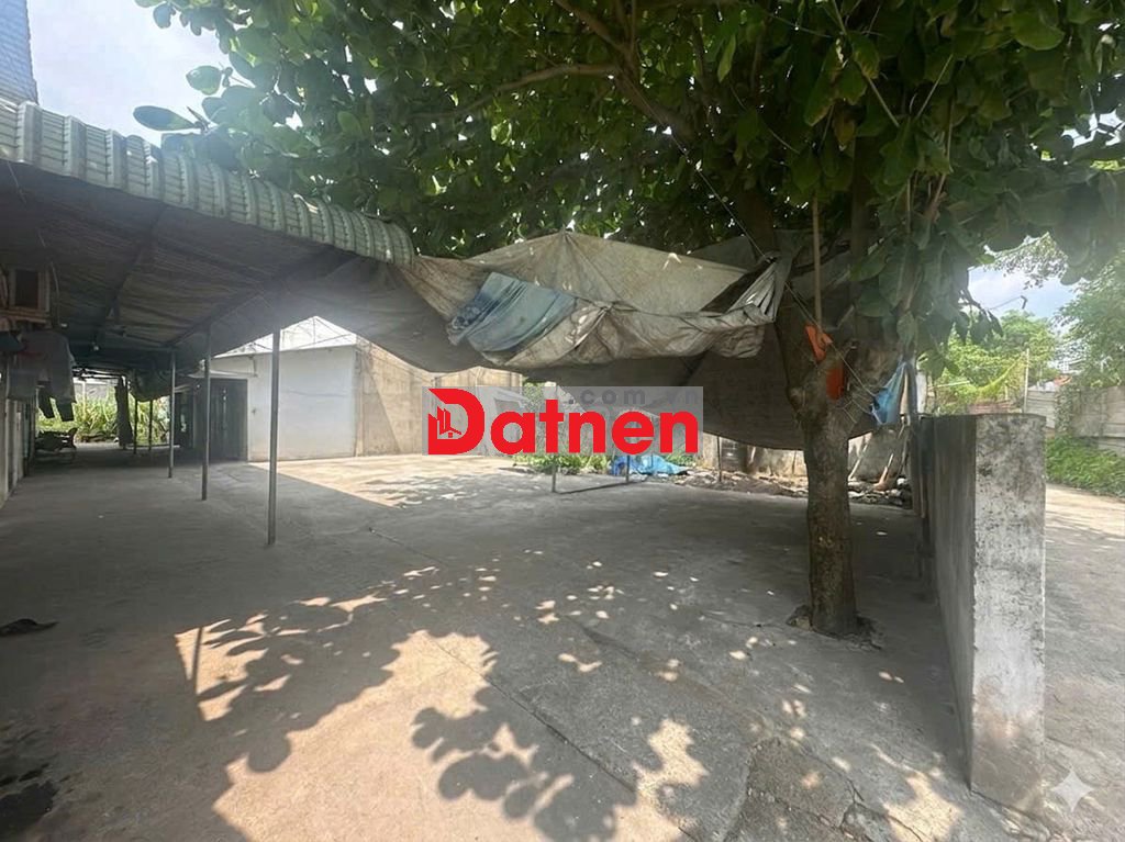 162m²(8mx20m) đất nở hậu- sổ riêng, ô tô tới đất- 500m ra QL13, TP.HCM