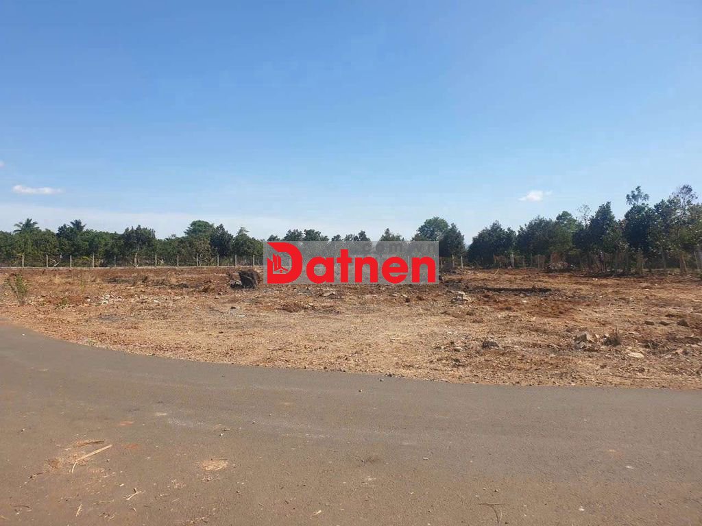 BÁN 9 LÔ ĐƯỜNG LÁNG LỚN - XÀ BÀNG( BÁN LẺ)