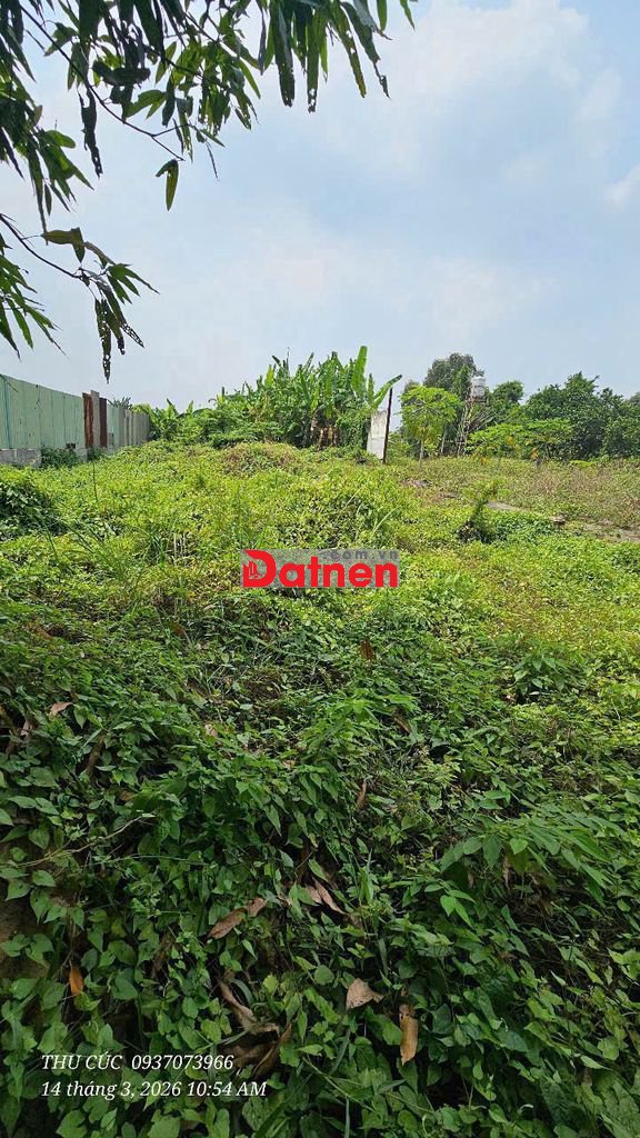 chình chủ bán đất vườn mặt tiền bùi văn sự , bình chánh