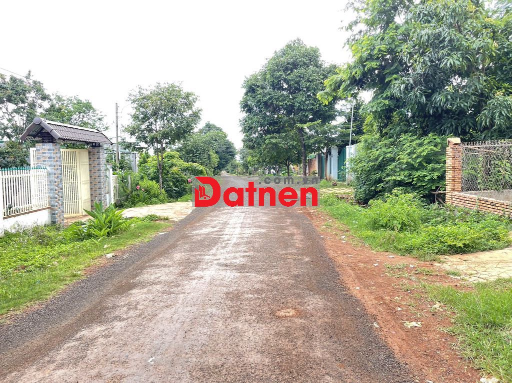 💥Đất TC 8*60m,Đường A1,Phạm Ngũ Lão,thôn 4,gần Vành Đai,