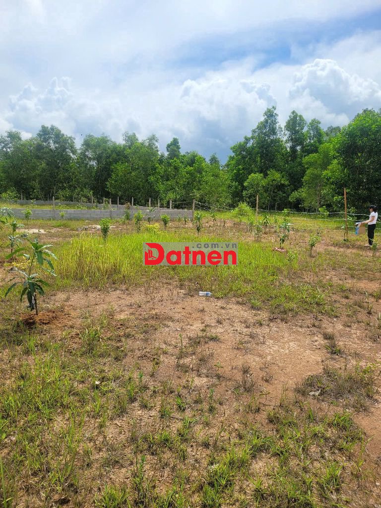 Bán đất nền thổ cư xã Hoà Phú, Củ Chi