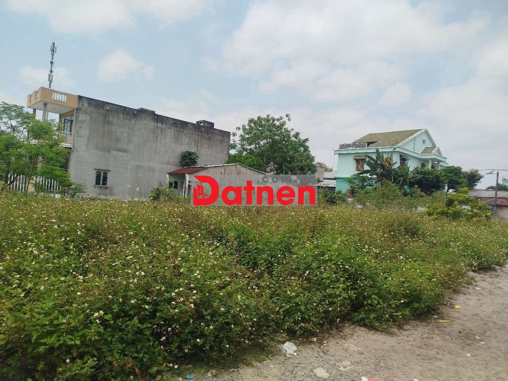 Bán đất Nhà vườn Yến Nê Hòa Tiến giá rẻ đầu tư