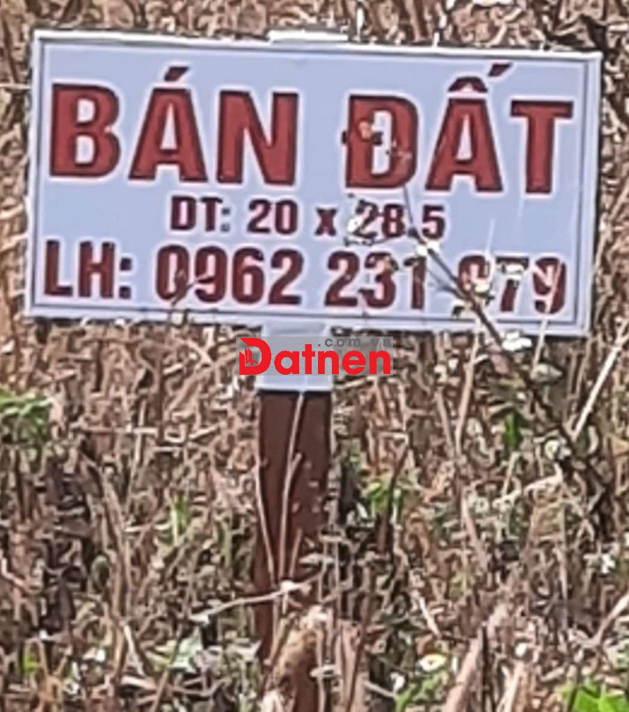 Cần bán gấp đất thổ cư 100%