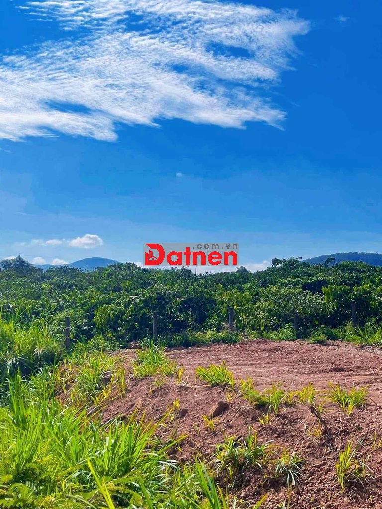 Bán Đất Hồ Bãi Công