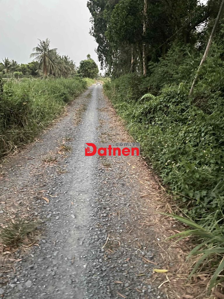 tôi bán mảnh đất vườn mặt tiền Kênh 10 giá rẻ 4 tỉ/ công