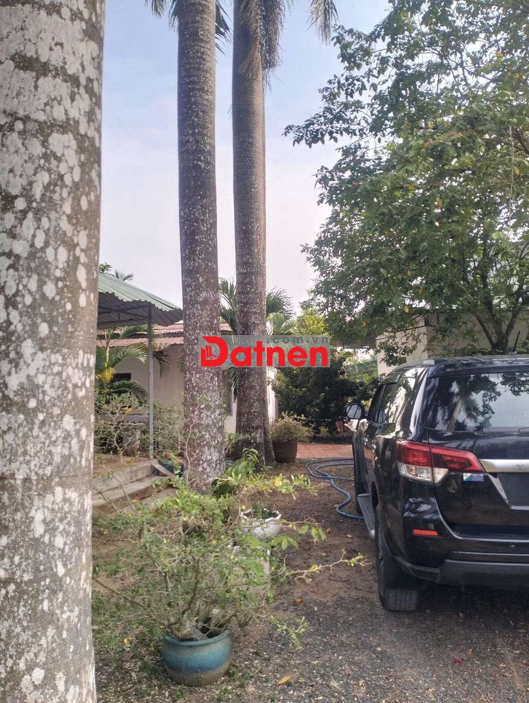 Chính chủ cần bán gấp nhà xưởng 364m2 ở lê minh xuân bình chánh hcm