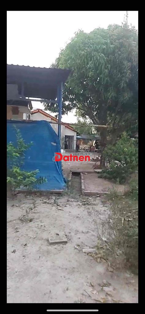 ĐẤT MẶT TIỀN AN PHÚ 19 SẮP LÊN NHỰA. 32x95 THỔ CƯ 300m. CÒN DƯ 50m đât