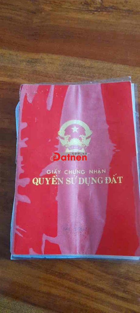 cần bán rẫy thôn 7 hoà an, có sầu riêng và cà phê đang thu