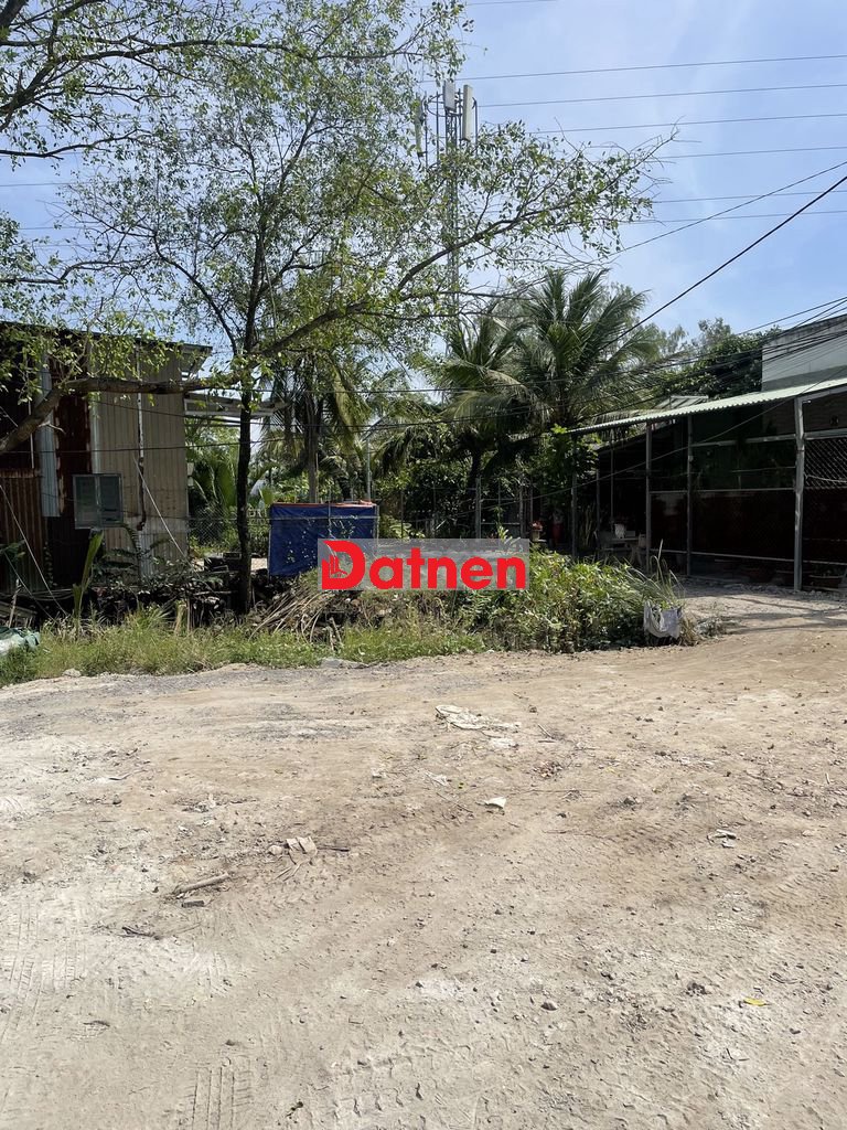 BÁN ĐẤT NÔNG NGHIỆP