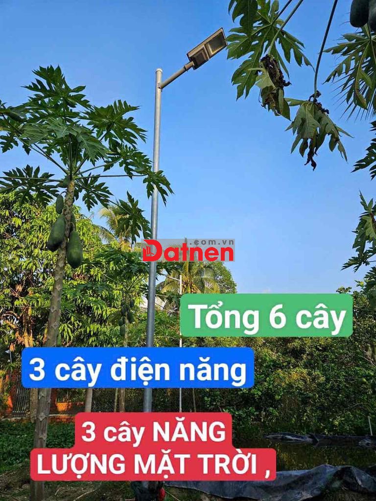 ĐẤT VƯỜN 300 MÉT HOÀ NGHĨA CHỢ LÁCH GIÁ RÊ