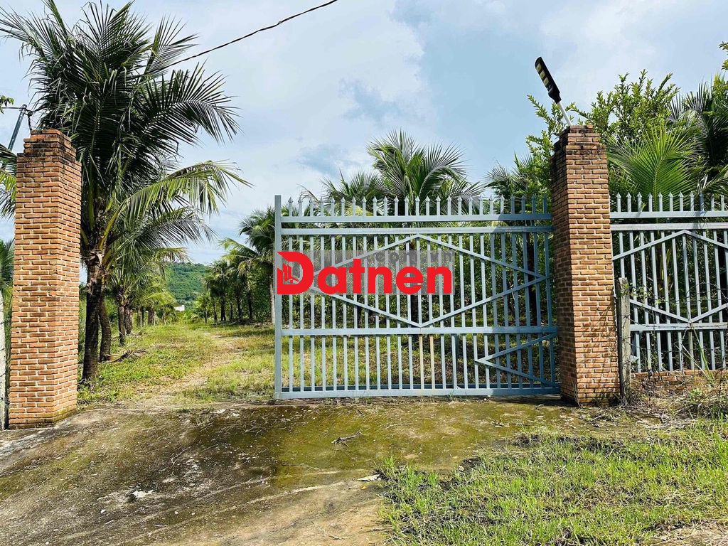 Đất 16,240m2 chỉ 7.8 tỷ có ngay farm Diên Thọ