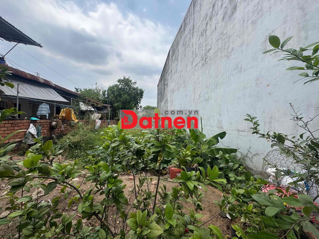 Lô Đất 100m2 full Thổ Sổ Riêng Không QH Hẻm Xe Hơi