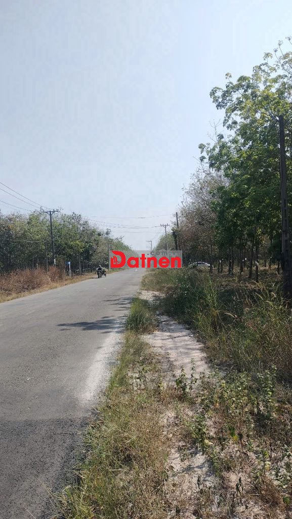 Chính chủ cần bán đất MT đường giá tốt