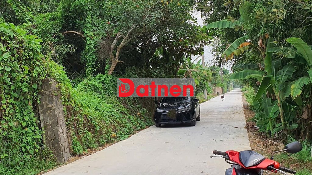 Bán gấp đất ngân hàng thanh lý 1000m2 giá 15 tỷ tại Bình Chánh!